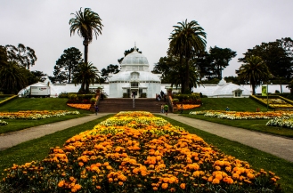 Golden Gate Park | San Francisco