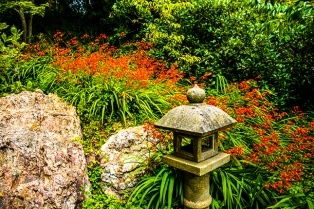 Golden Gate Park | Japanese Tea Garden